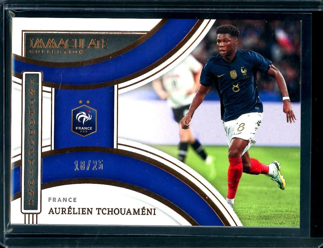 tradingcardmarket2800345